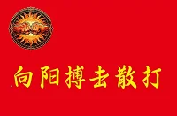 向阳搏击散打馆