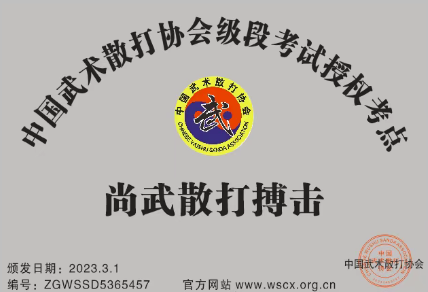 尚武散打搏击