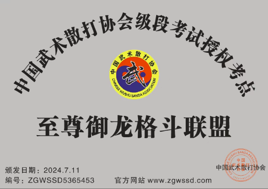 至尊御龙格斗联盟