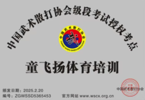 童飞扬体育培训