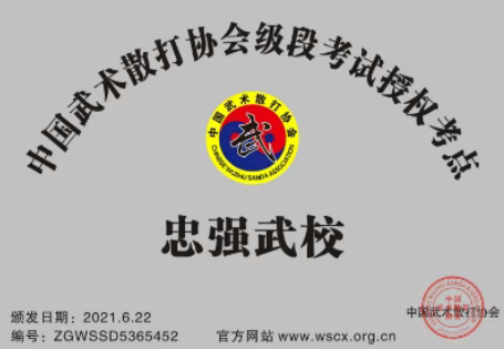 忠强武校